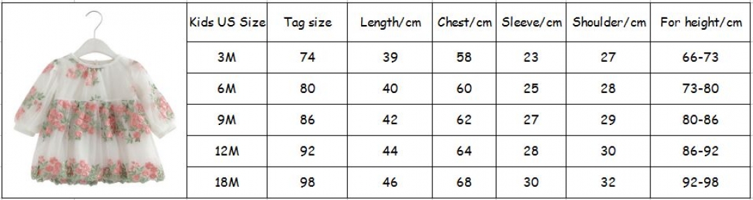 Flower Embrioder Lantern Sleeve Dress