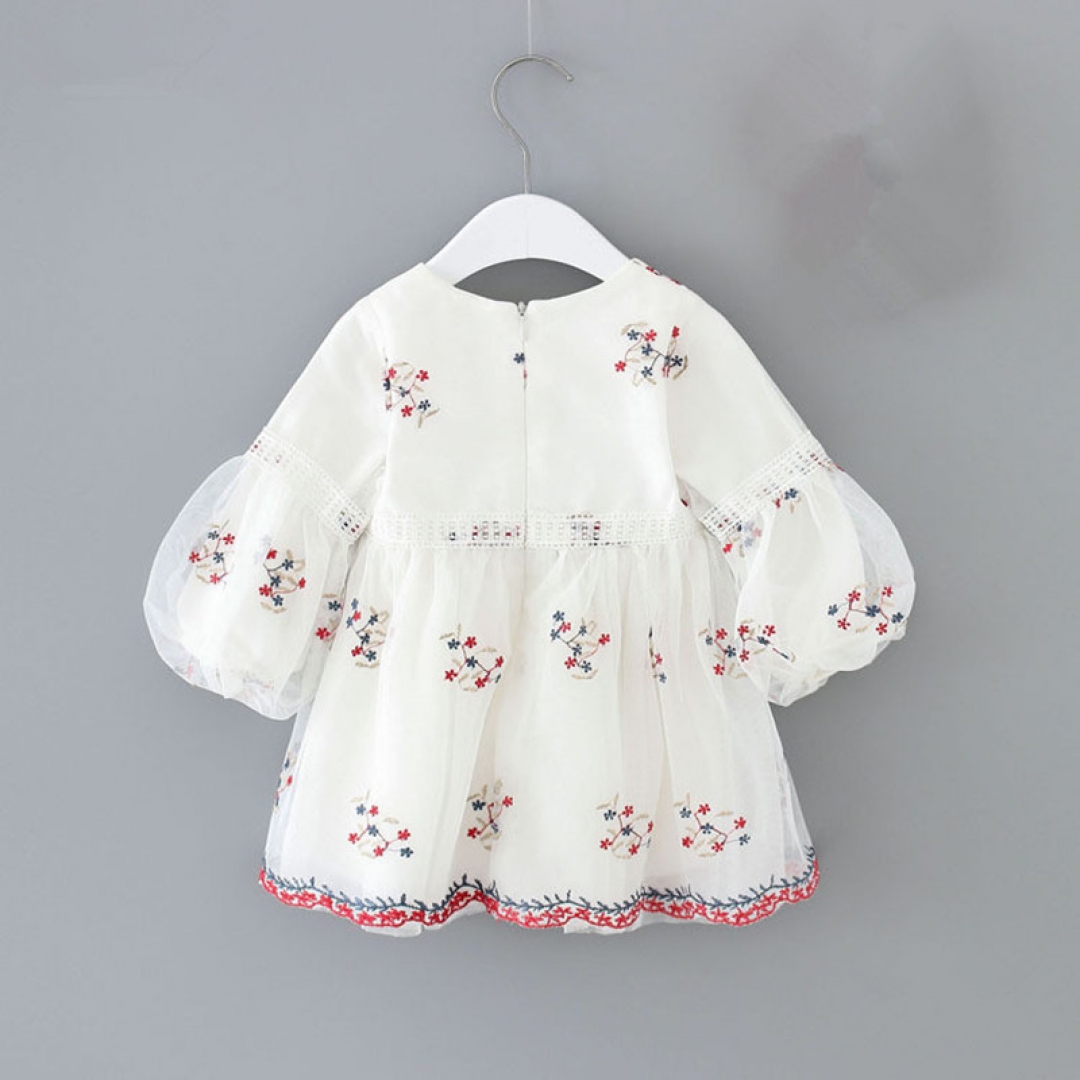 Puff Sleeve Embroidered Dress