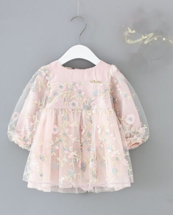 Floral Embroidered Dress