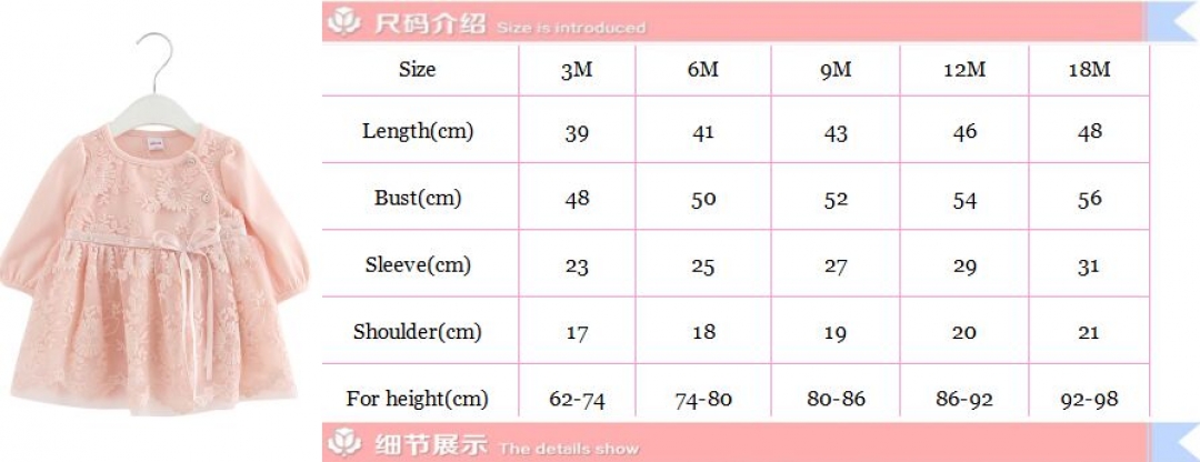Lace Embroidery Baby Girls Dress