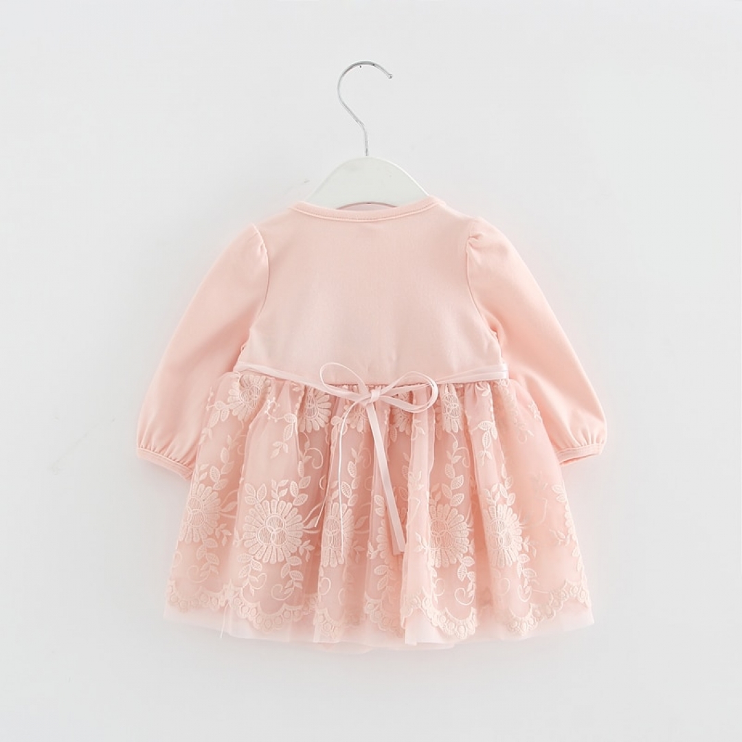 Lace Embroidery Baby Girls Dress