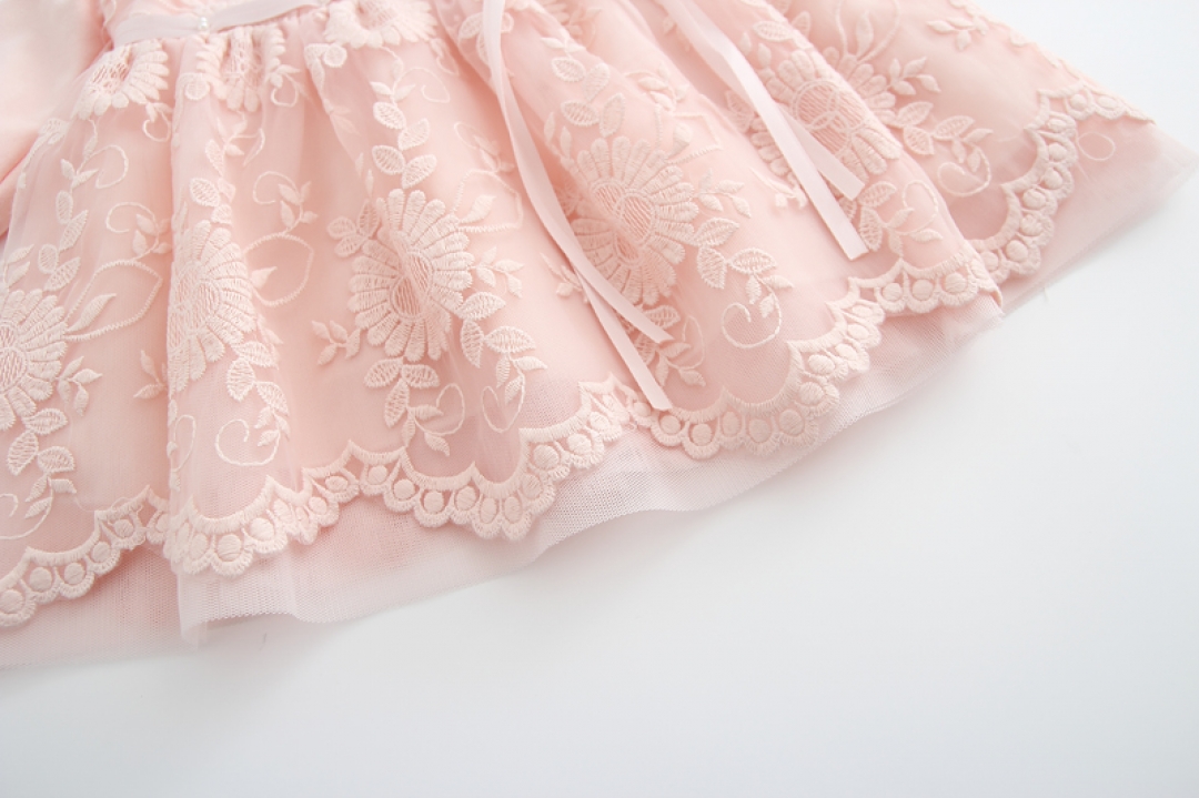 Lace Embroidery Baby Girls Dress