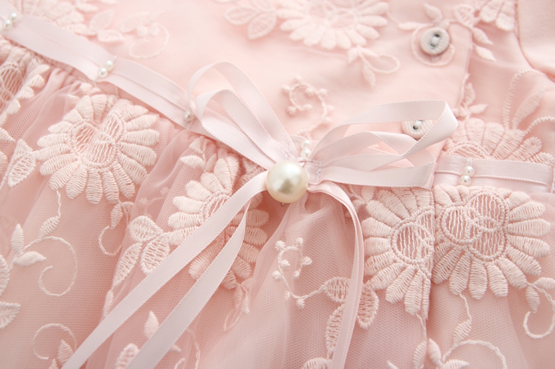 Lace Embroidery Baby Girls Dress