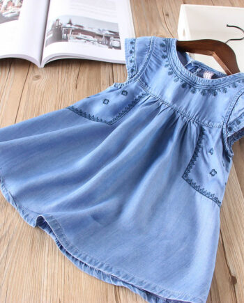 Denim Embroidered Dress
