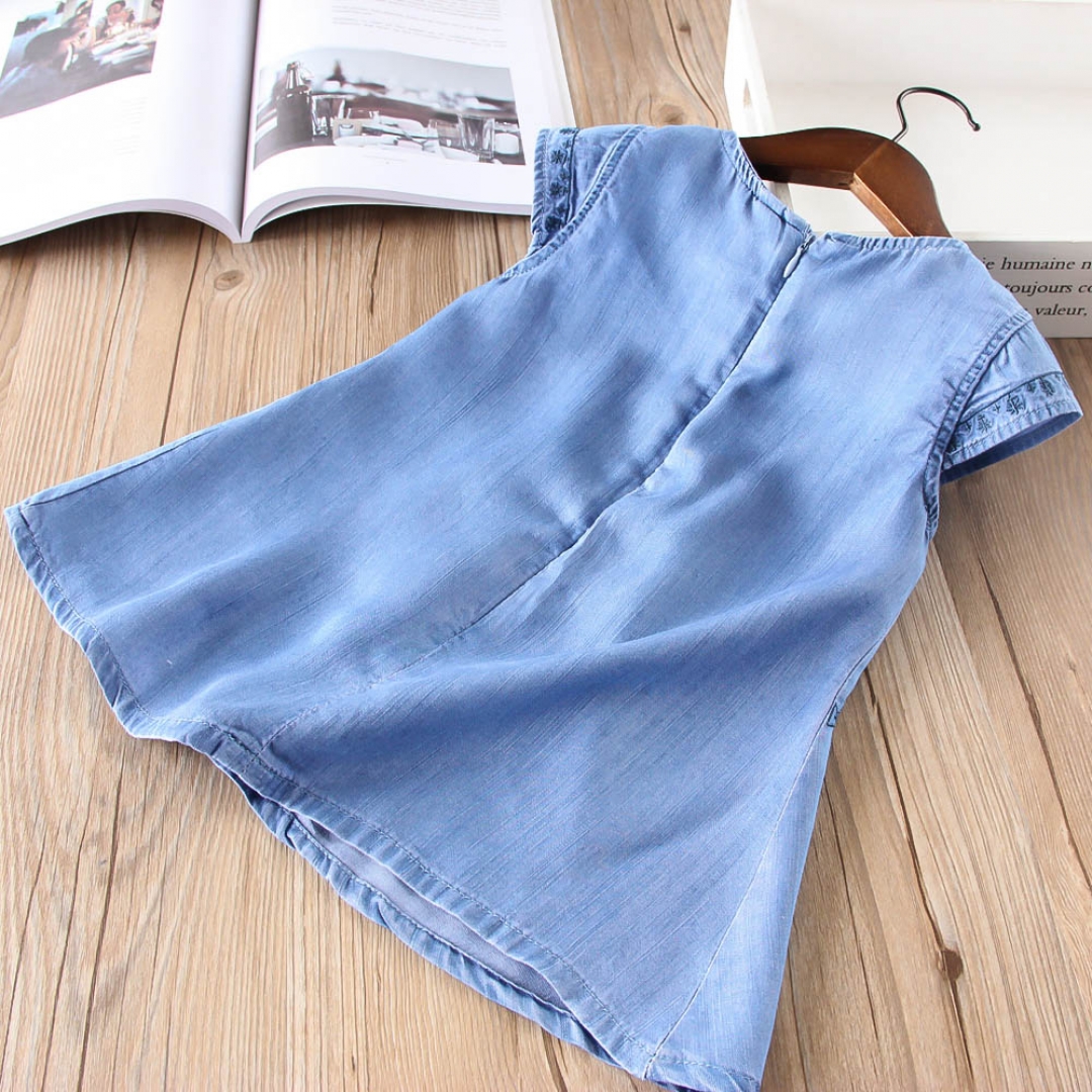 Denim Embroidered Dress