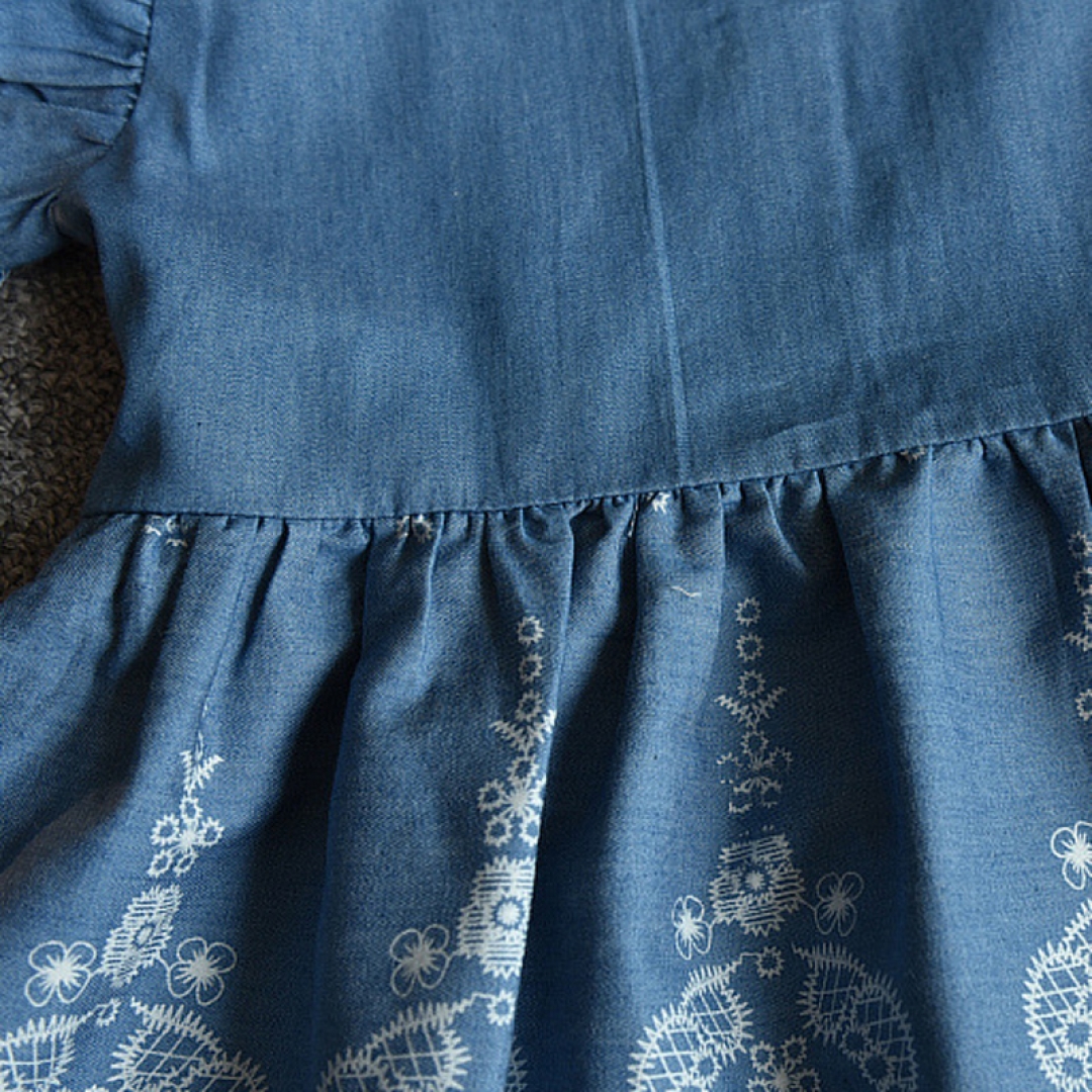 Floral Embroidered Denim Dress