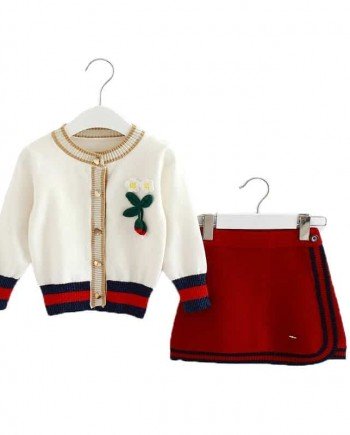 Knitted 2PCS Skirt and Top Set
