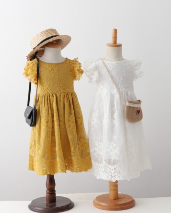Embroidered Lace Dress