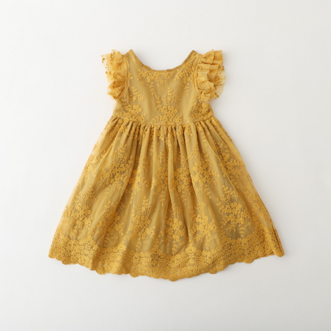 Embroidered Lace Dress