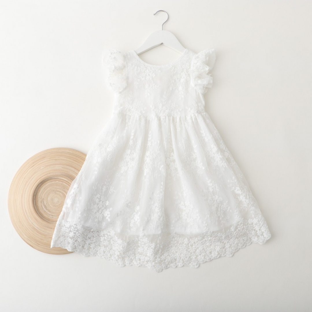 Embroidered Lace Dress