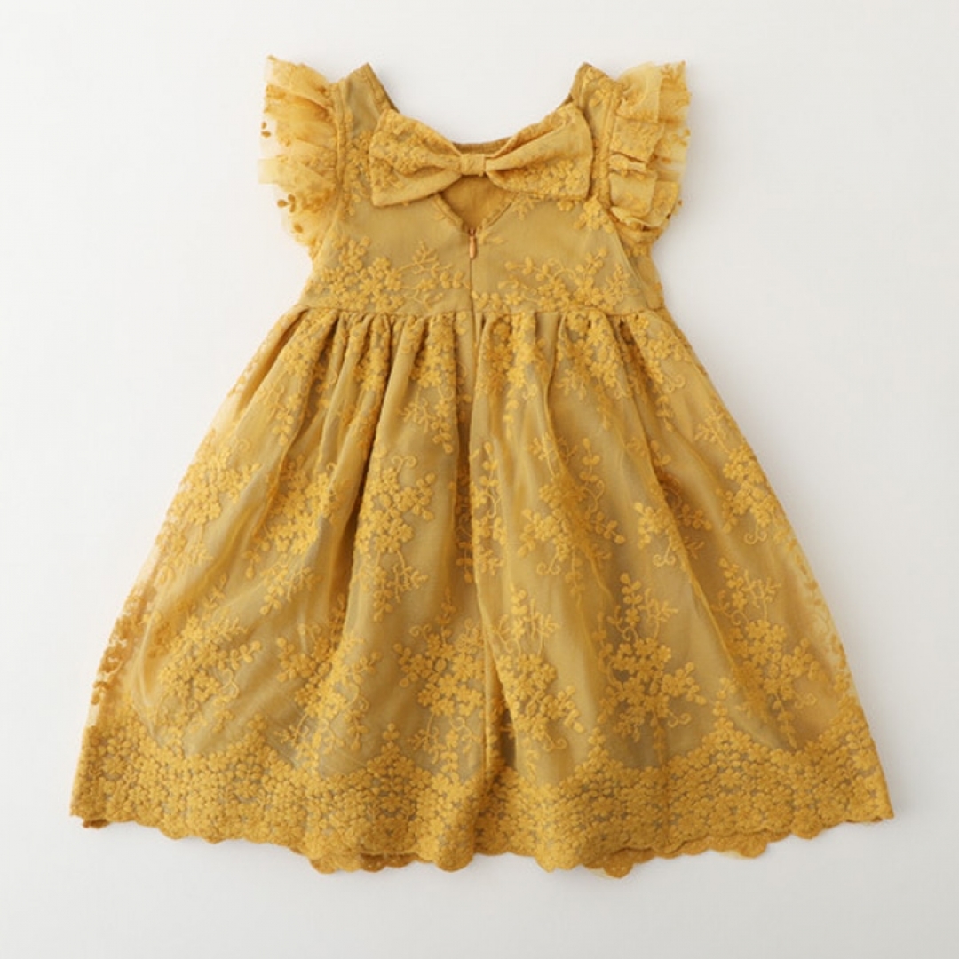 Embroidered Lace Dress