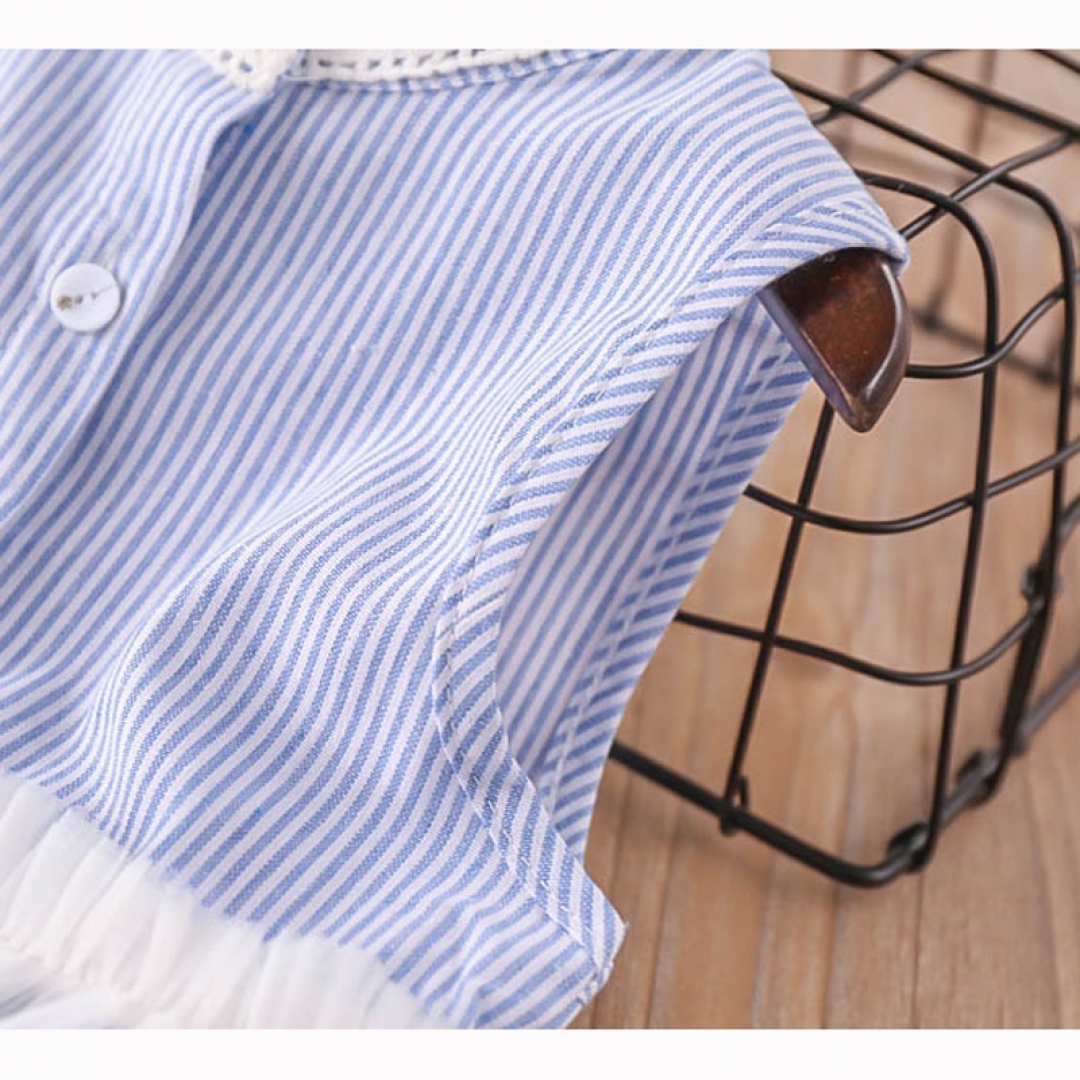 Crew Neck Stripped Dress
