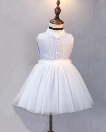 Crew Neck Stripped Dress