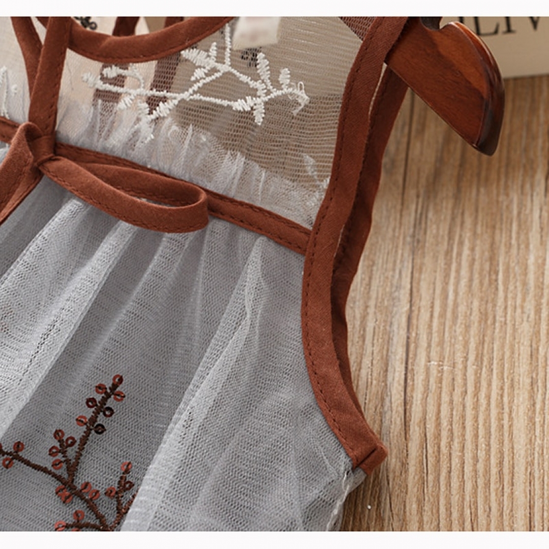 Mesh Embroidery A-line Dress