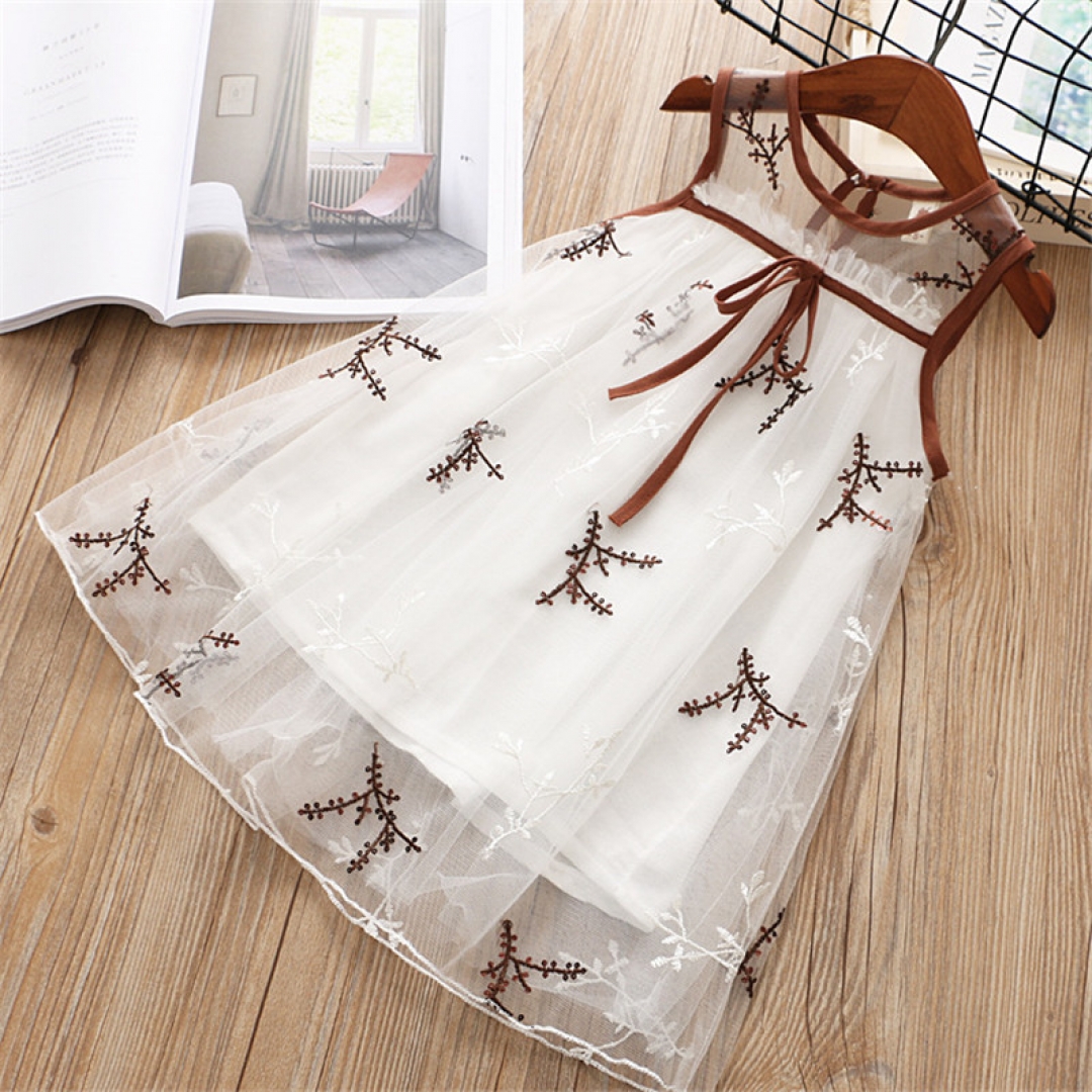 Mesh Embroidery A-line Dress