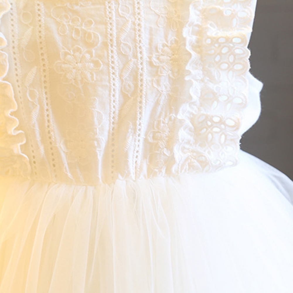 Ruffles lace embroidered dress