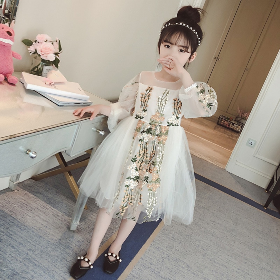 Full Sleeve Embroidered Dress