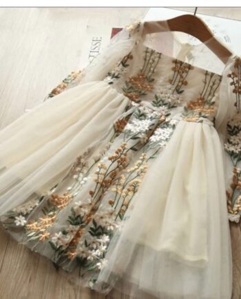 Full Sleeve Embroidered Dress