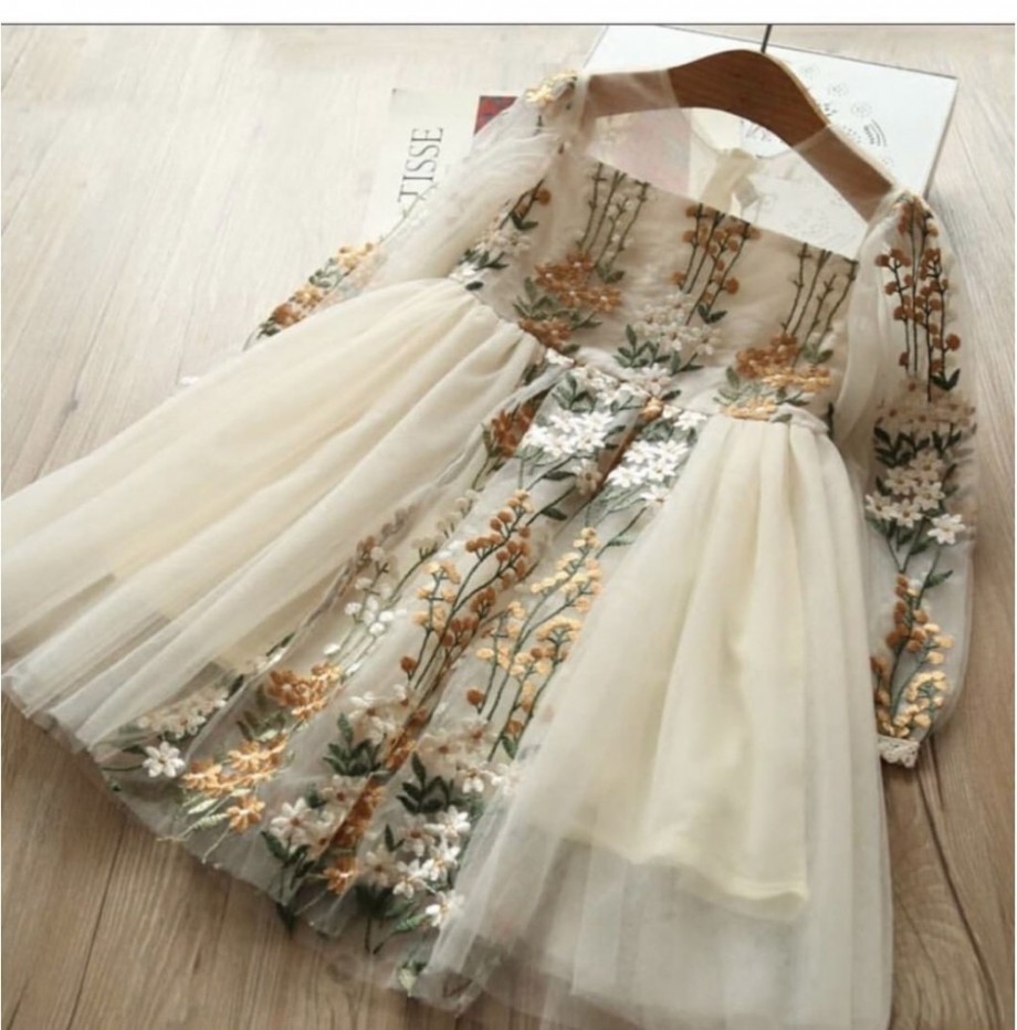 Full Sleeve Embroidered Dress