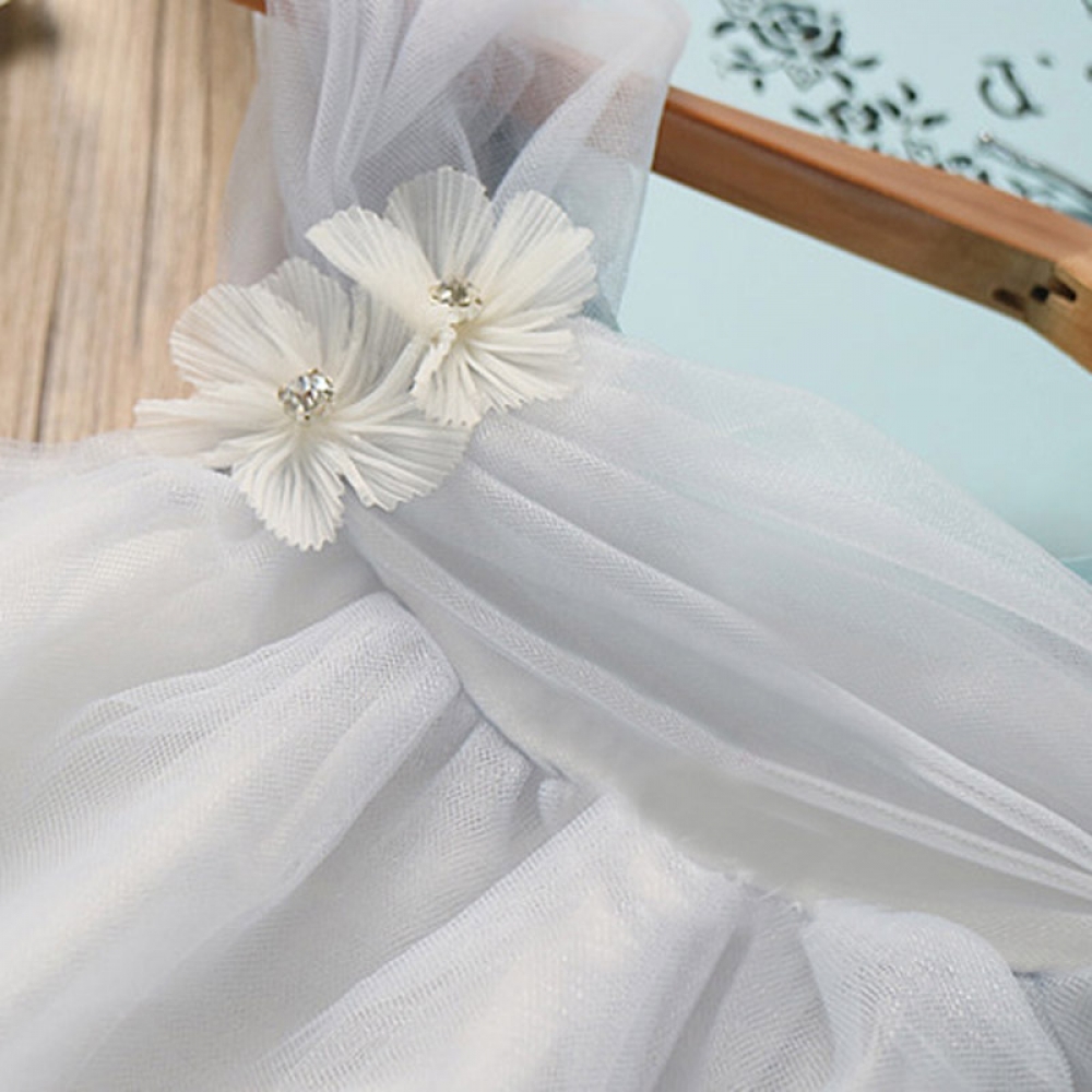 Lace Tutu Dress
