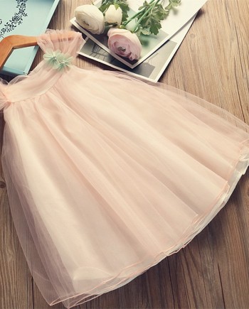Lace Tutu Dress