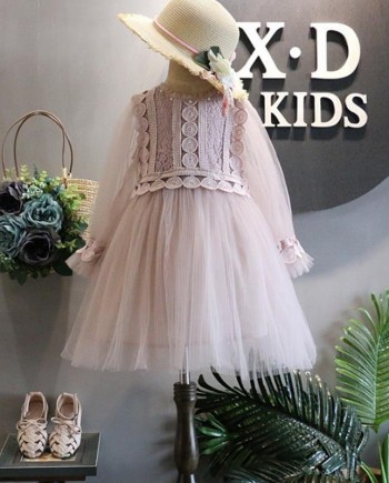 Net Yarn Pink Lace Dress