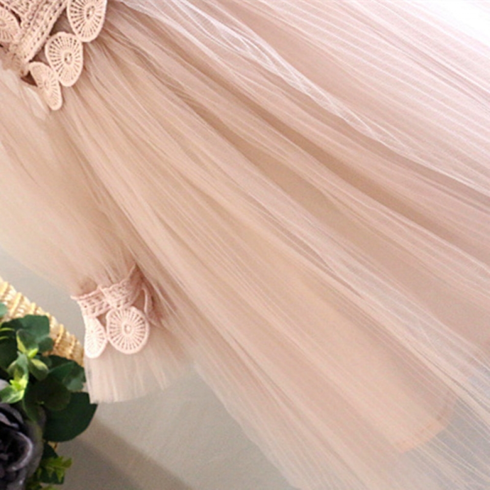 Net Yarn Pink Lace Dress