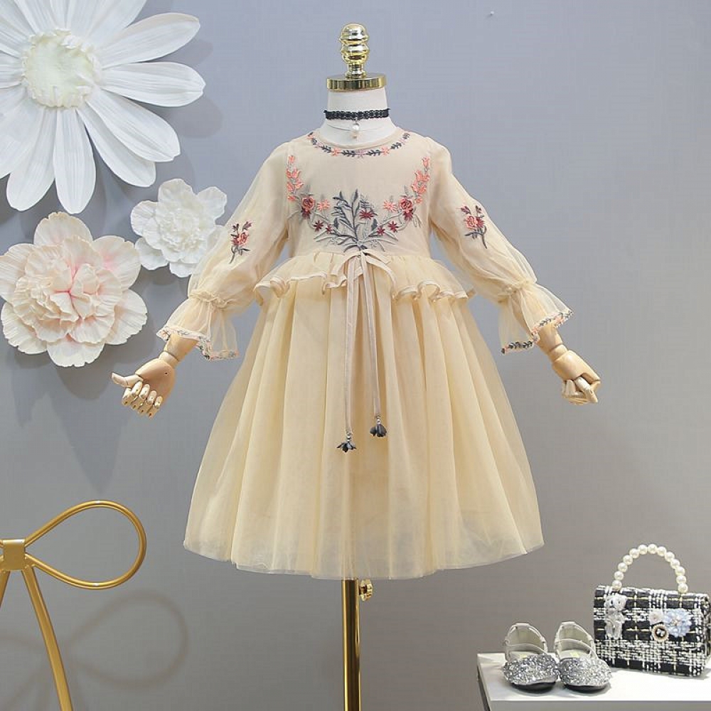 Embroidered Mesh Dress