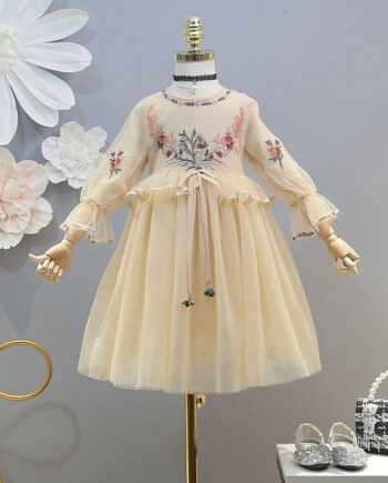 Embroidered Mesh Dress