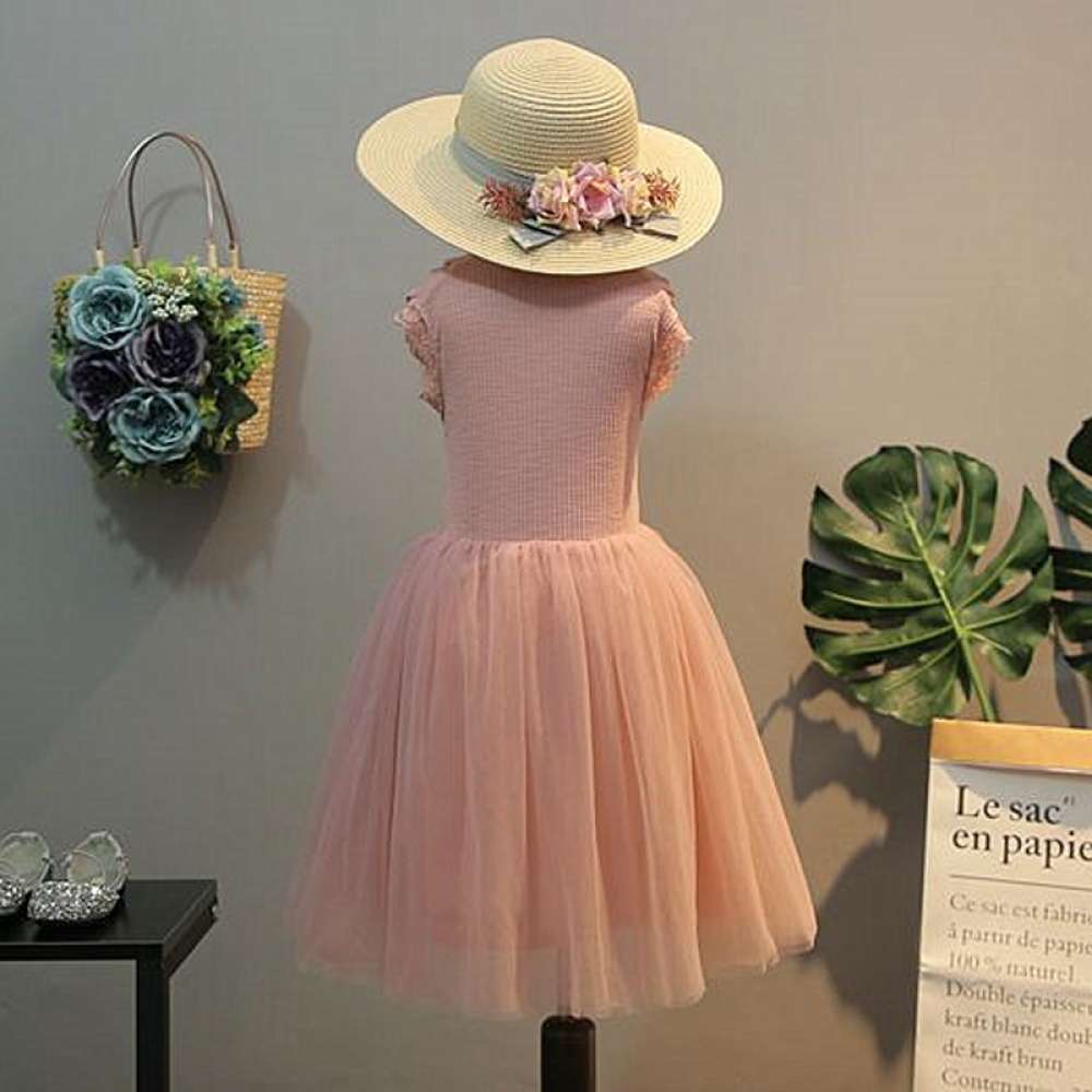 Lace and Frill