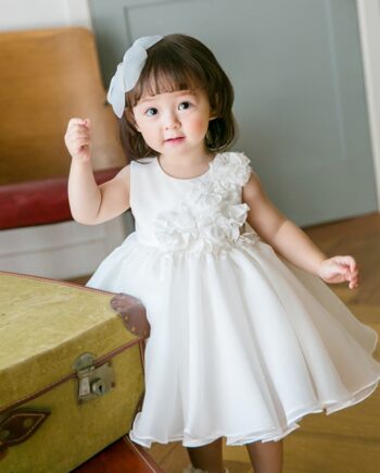 Baby Girl 3D Flower Party Dress
